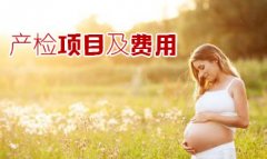 产检项目及费用，50秒了解清楚