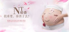 NT检查什么时候做?医生解密NT检查最佳