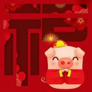 13.2斤双胞胎兄弟在福兴妇产平安诞生